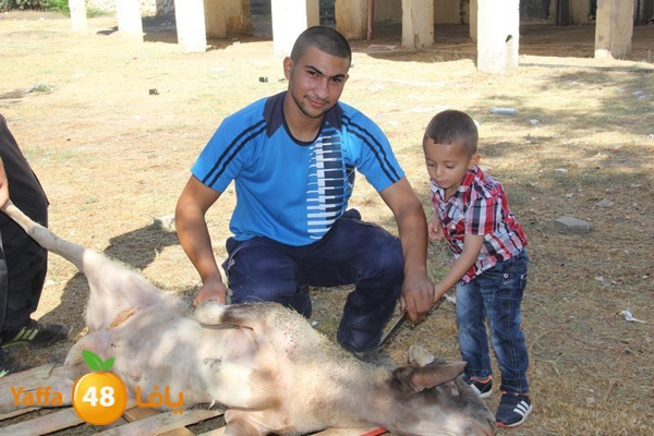 dabe7 ludj31 (32).JPG